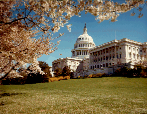 U.S. Capitol