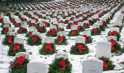 Arlington National Cemetary